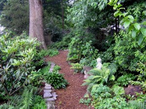 Back woodland path Back woodland path