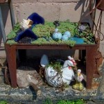 Gnomon Urban Chickens