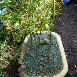 Menzer Garden Bamboo Container