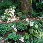 Bryant/Wade Garden Dappled Color