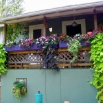 Urban Paradise Balcony Gardens