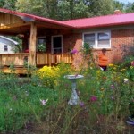 Cherry Tree Gardens front yard flower meadow