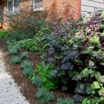 Edible landscaping at Cherry Tree Gardens