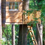 Cherry-Tree-Garden-Treehouse