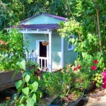 Cherry-Tree-Gardens-Fairy-House