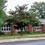 West Asheville Library