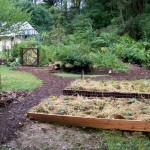 Barlow Vegetable Production