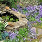 Bellflower in bloom around pond