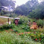 Girls in the Rain